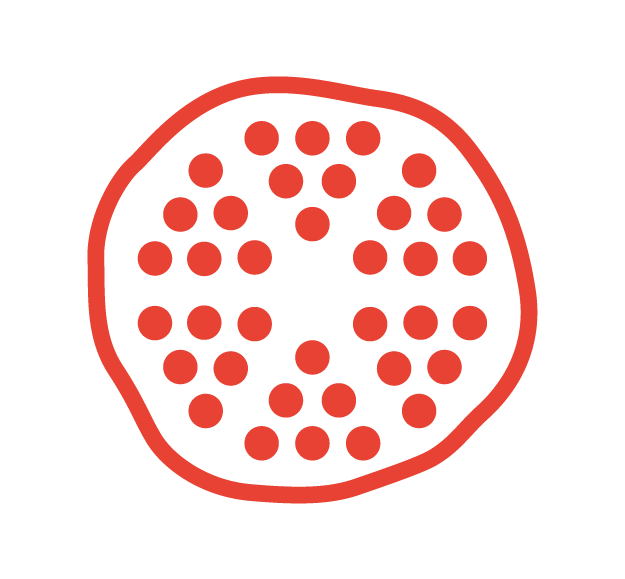 Portal